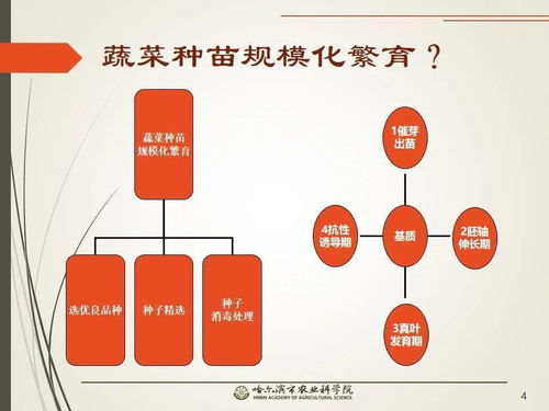 黨建引領(lǐng)謀發(fā)展 科技助農(nóng)備春耕 網(wǎng)絡(luò)課堂開啟工廠化育苗知識小百科